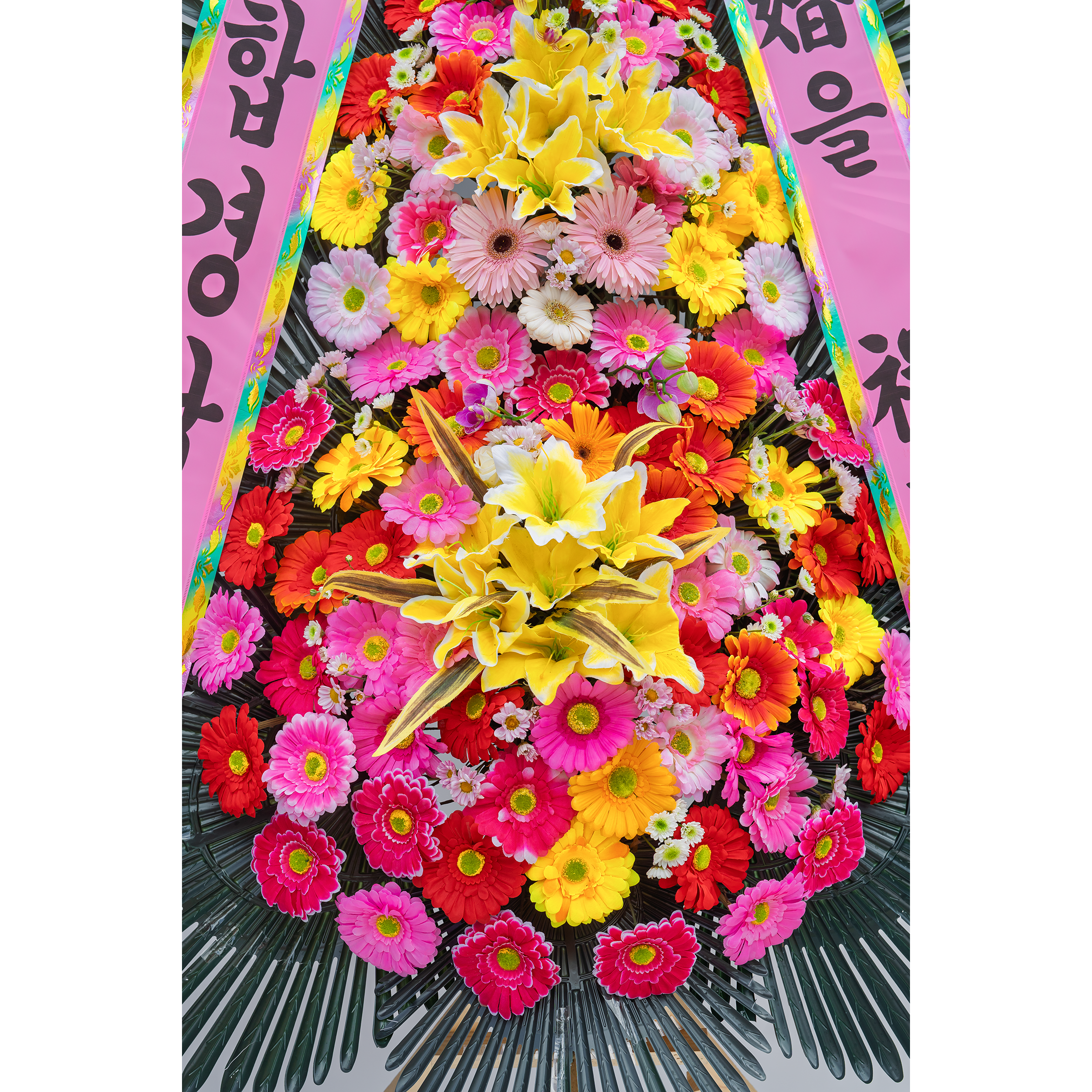 [축하화환] 축하 3단 기본형